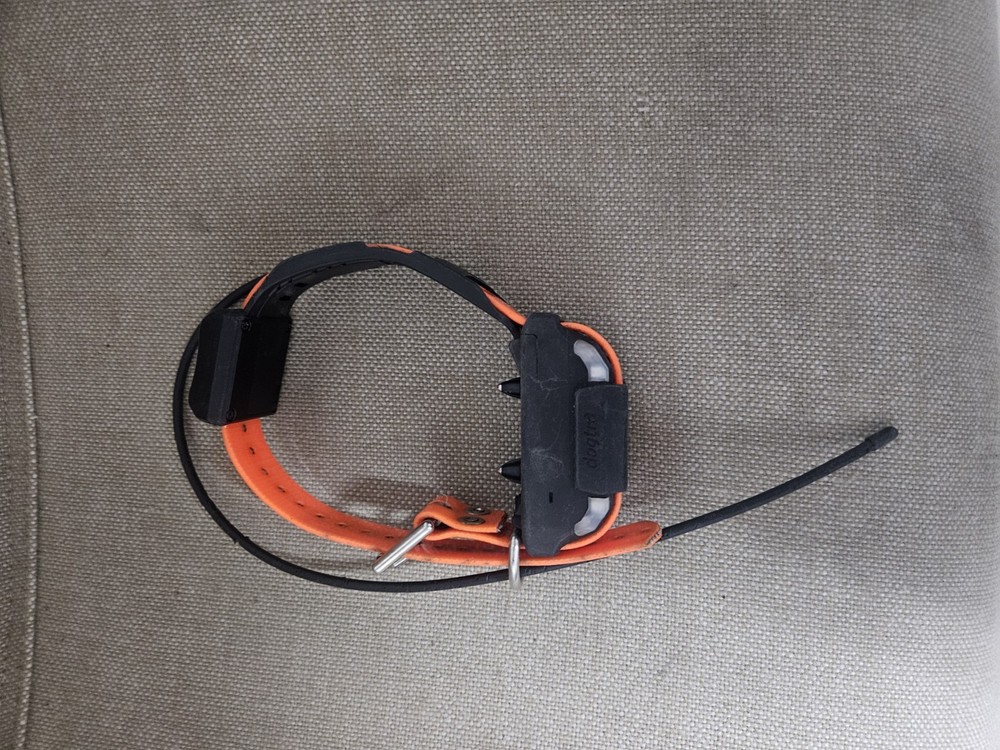 Dogtra Pathfinder,  full size collars with orange strap.