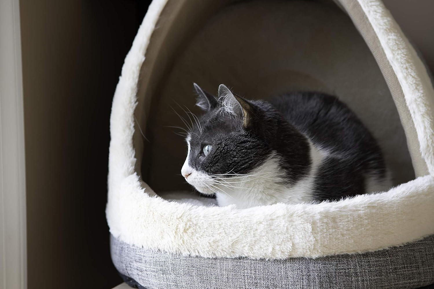 Cat Bed for Indoor Cat, Domed Tent House with Removable Pillo