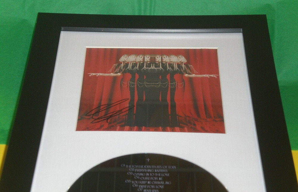 AURORA SIGNED & FRAMED GODS WE CAN TOUCH CD DISPLAY AUTOGRAPH COA WOLFWALKERS