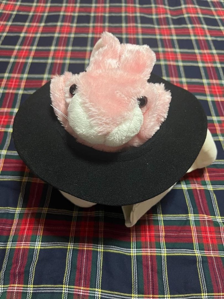 Second hand magic tricksB810 rabbit in hat