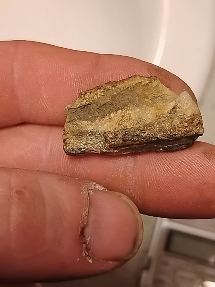 Native Gold In Quartz Vein