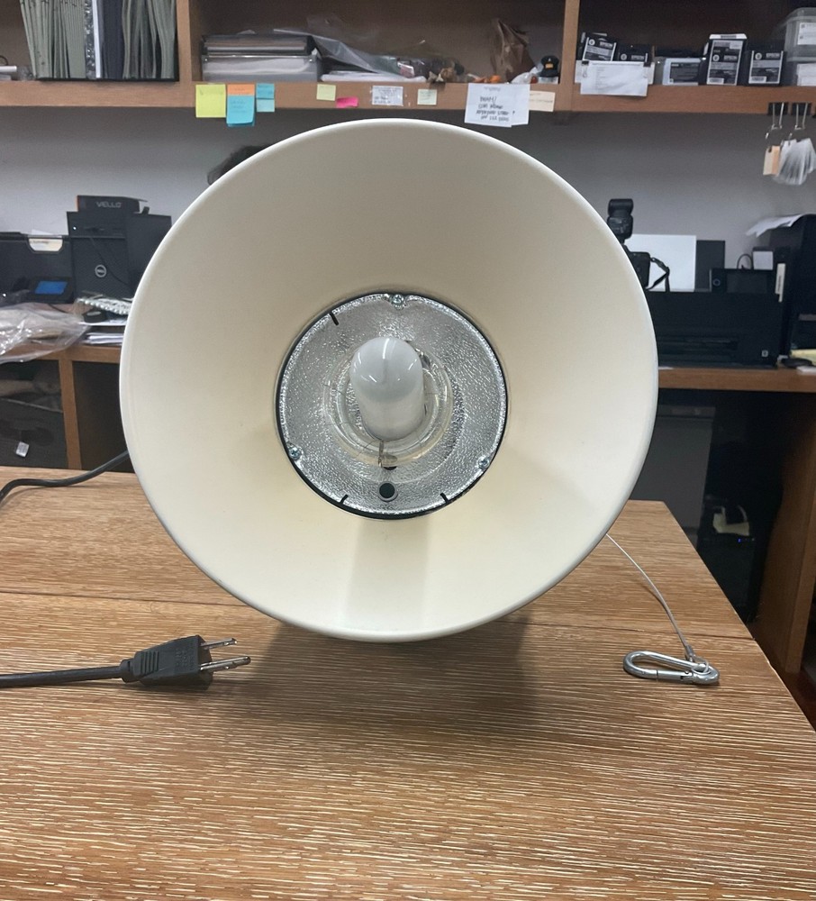Elinchrom Style 400BX Multi-Voltage 400 Ws Monolight w/ Ceramic Reflector