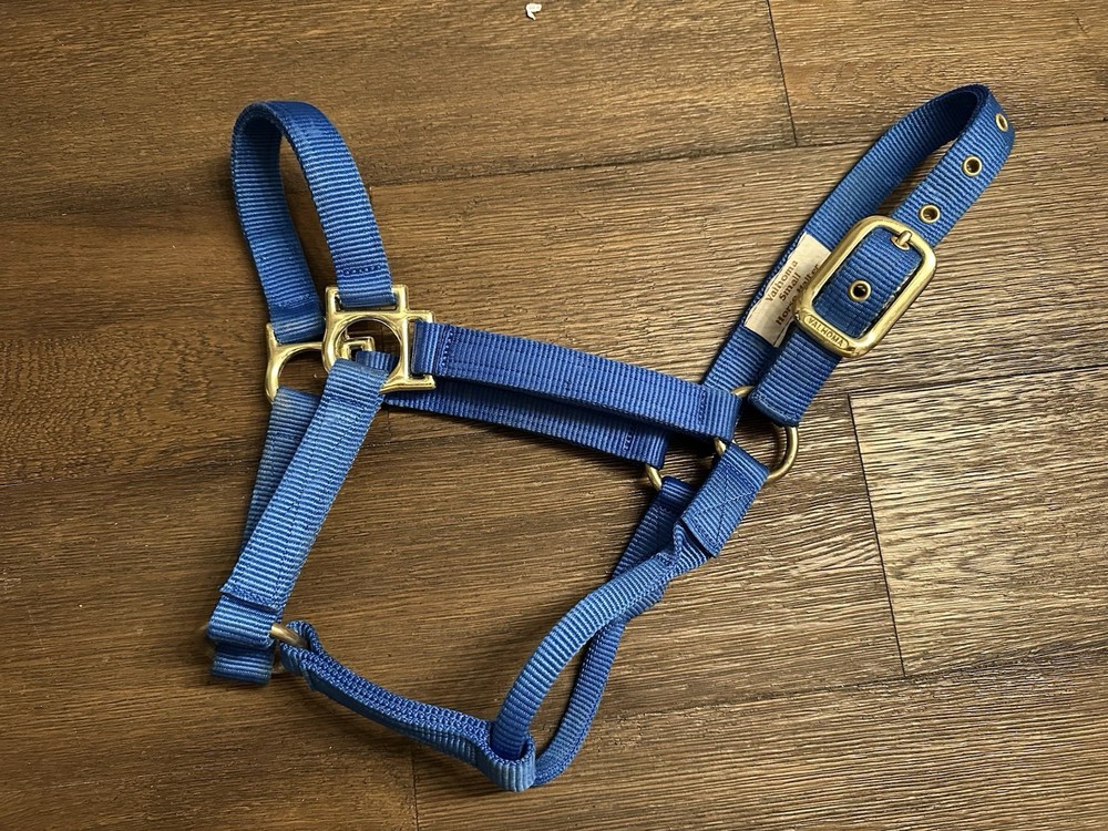 Horse Tack - Valhoma Blue Nylon Halter