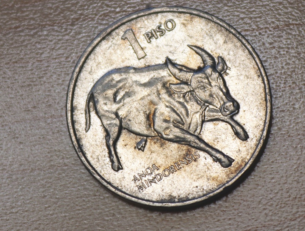 1992 Philippines 1 Piso Mindoro Dwarf Buffalo