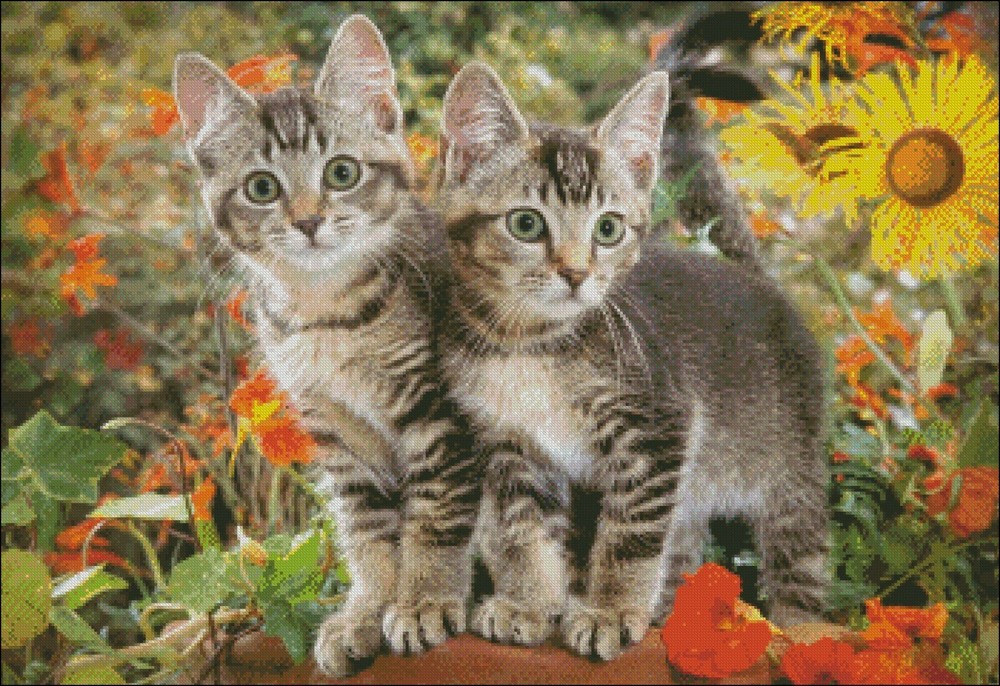 Kitten Buddies - DIY Chart Counted Cross Stitch Patterns Needlework DMC Color