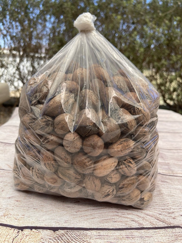 Organic Texas Pecans 5 LBS Raw in Shell - Non GMO