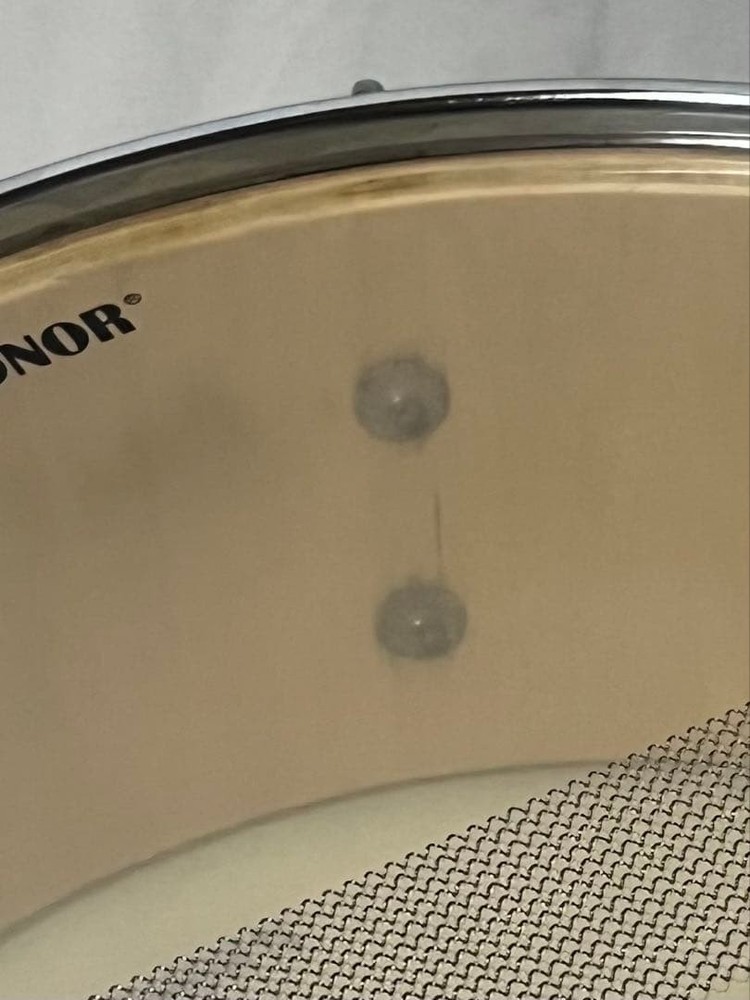 Sonor Snare Drum傷や汚れあり, with Case, Used, Drums, Percussion