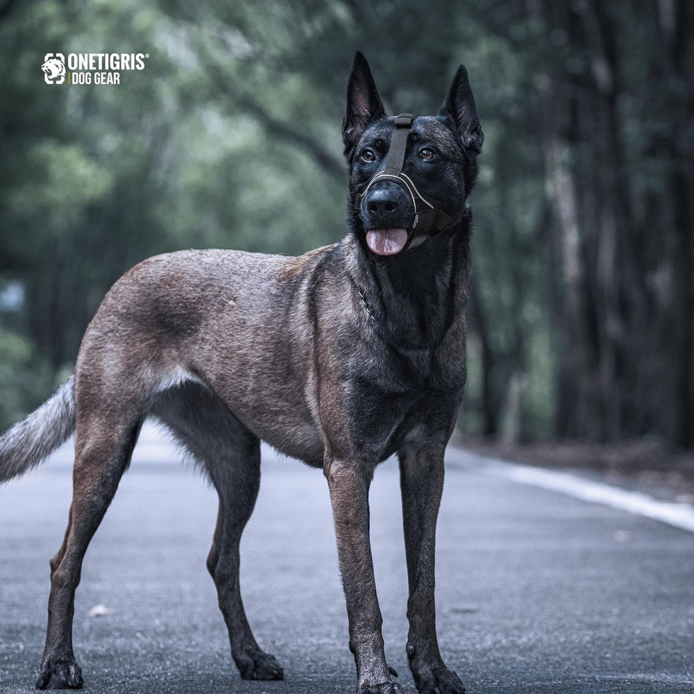 Dog Muzzle,Soft Nylon Muzzle Anti Biting Barking Chewing,Air Mesh Breathable ...