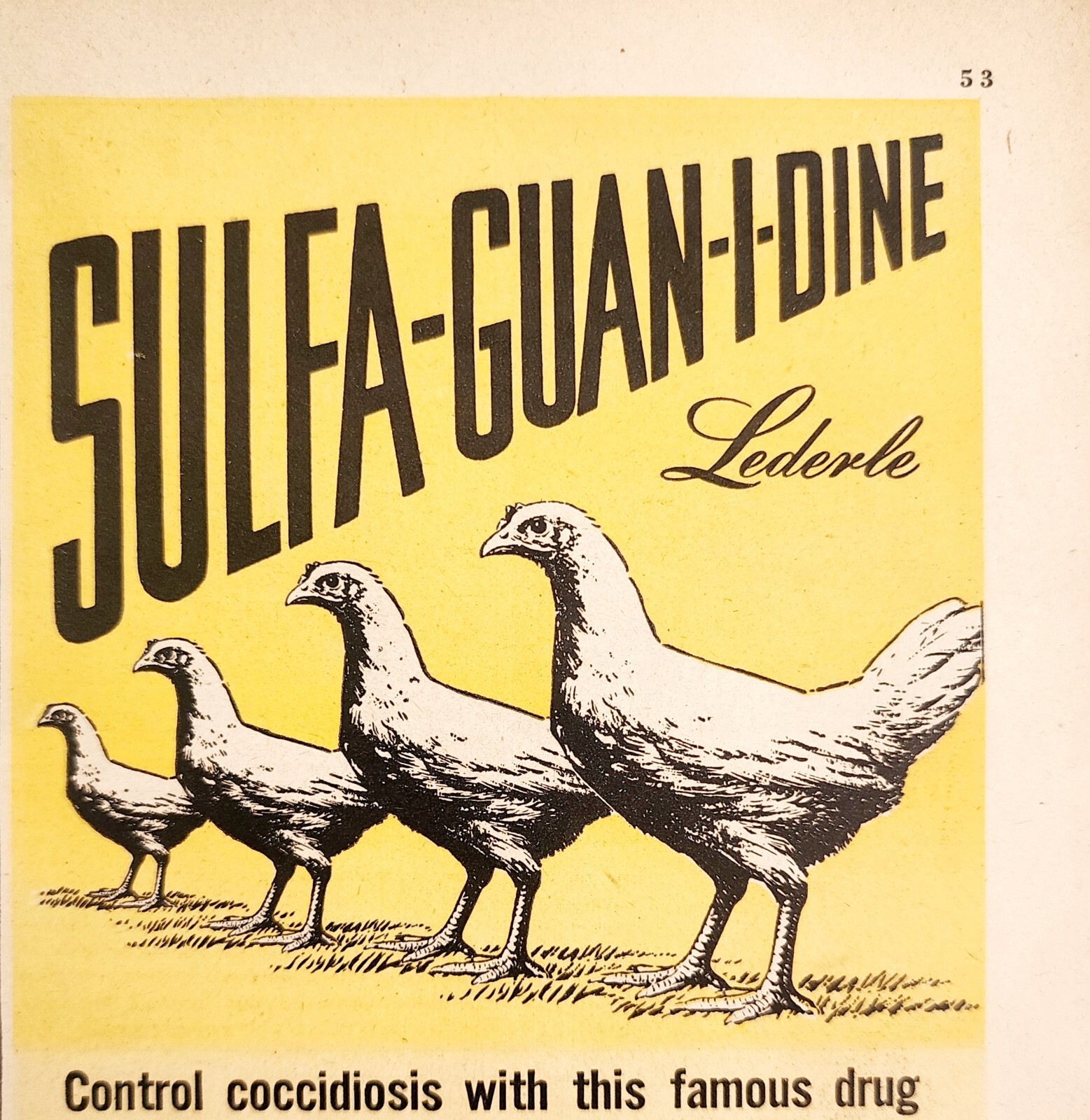 1947 Lederle Laboratories Sulfaguanidine Advertisement Agriculture DWNN22