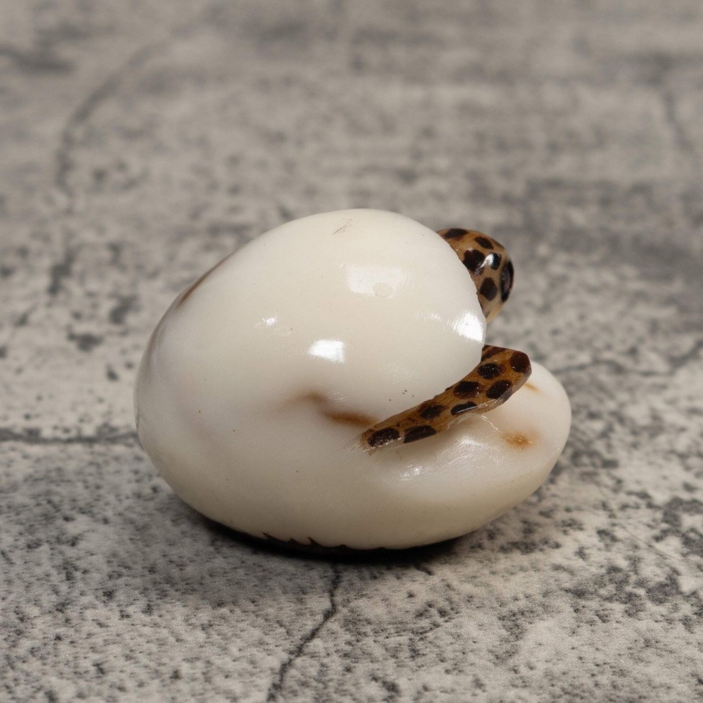 Sea Turtle With Egg Tagua Carving