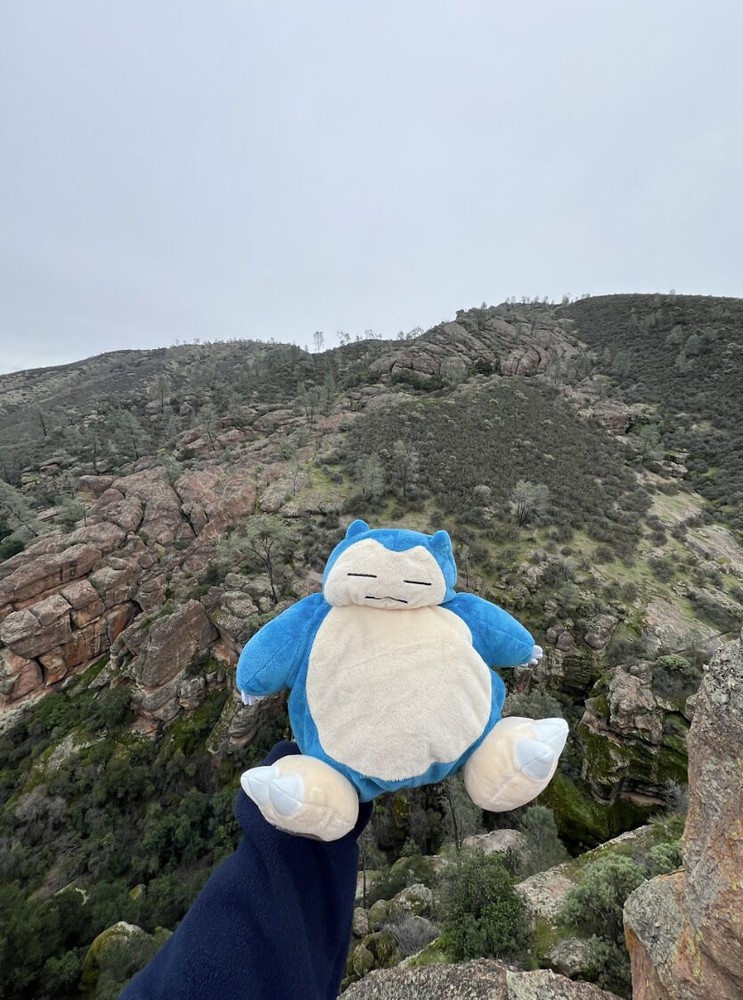 Snorlax Chalk Bag