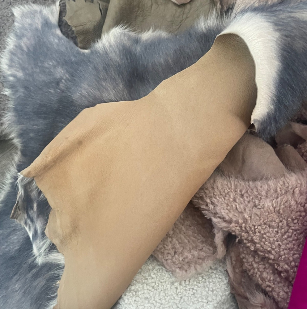 18 Shearing lamb hides big lot.