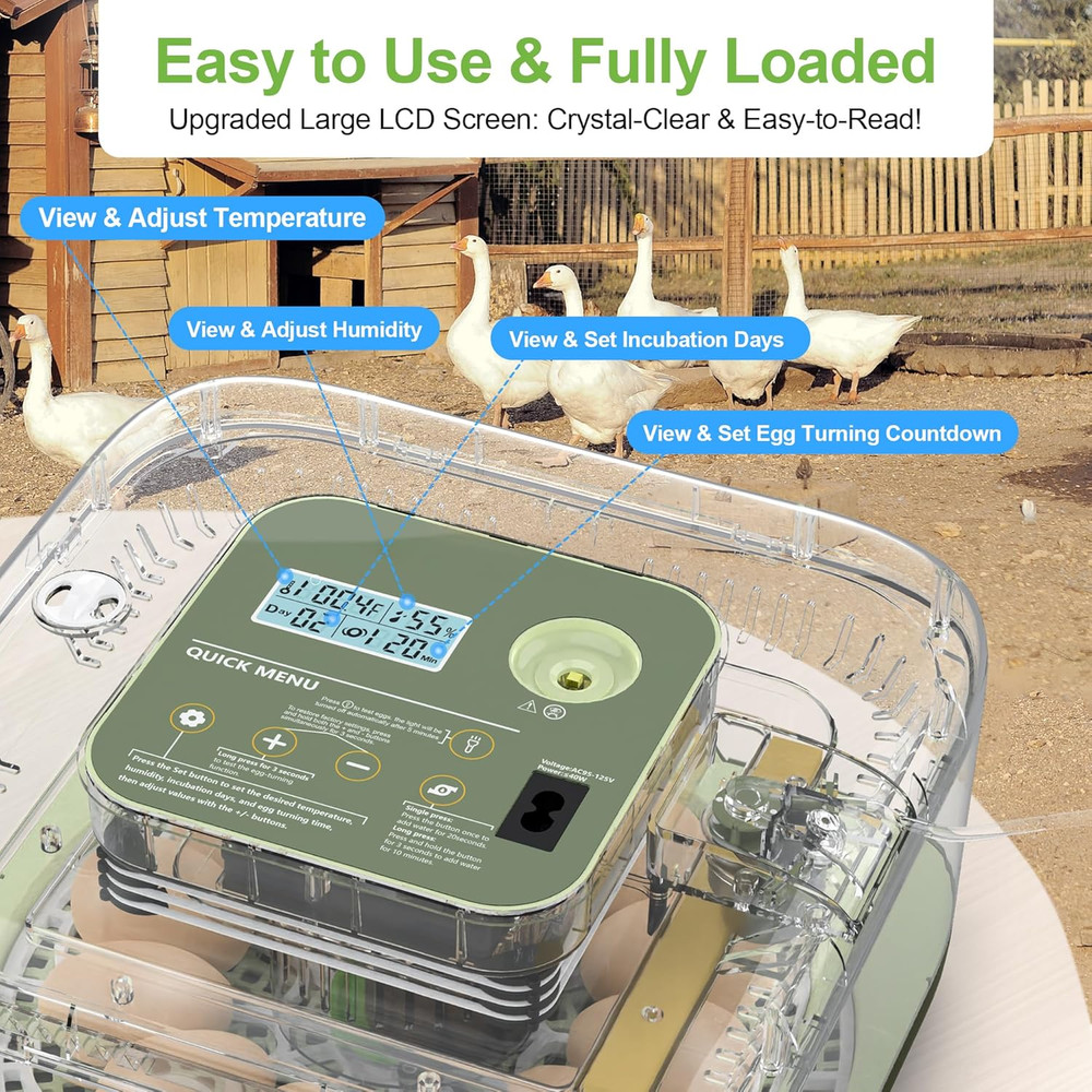 Incubators for Hatching Eggs, 12 Eggs Capacity, Egg Incubator with Automatic Egg