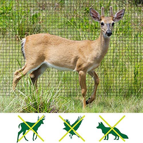 Garden Fence Landscape Deer Fencing Animal Protects Strong Netting 7x100 Borders