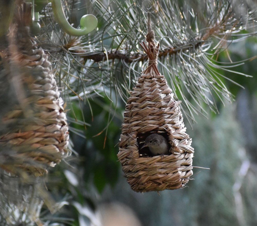 3Pack Handwoven Straw Hanging Hummingbird House Grass Bird Nest Bird Feeder