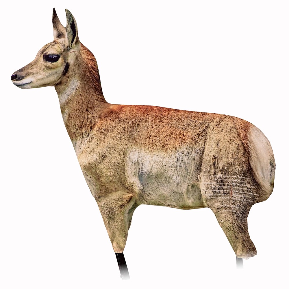 Antelope Fawn Decoy