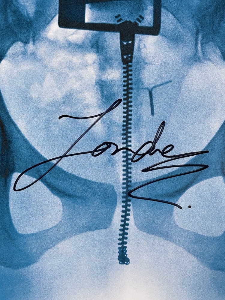 Lorde Virgin LP SIGNED INSERT 12" X-Ray Picture Disc