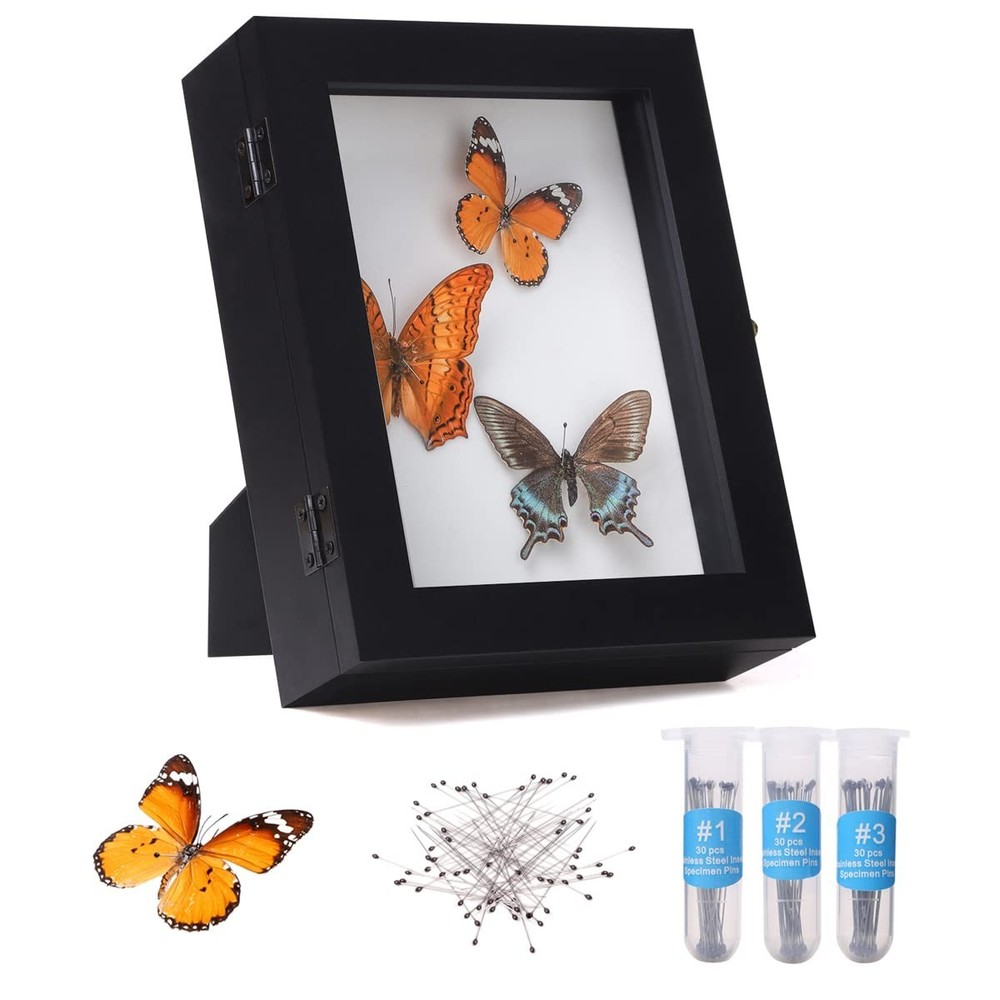 IHEIPYE Insect Display Case Wall Mount Bug Display Case Collection Box for Butte