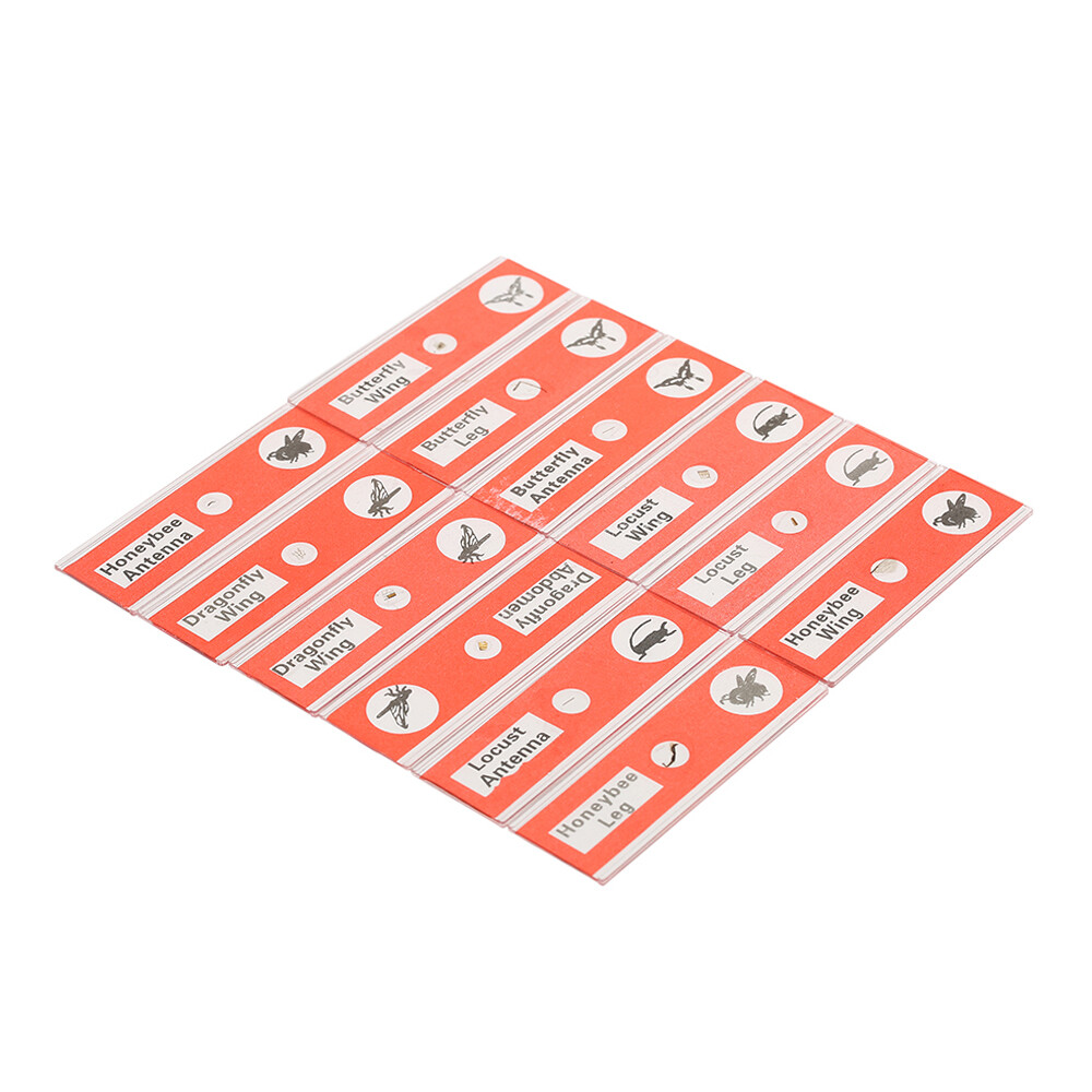 48pcs/set Prepared Microscope Slides Animals Insects Plants Sample Y4D1