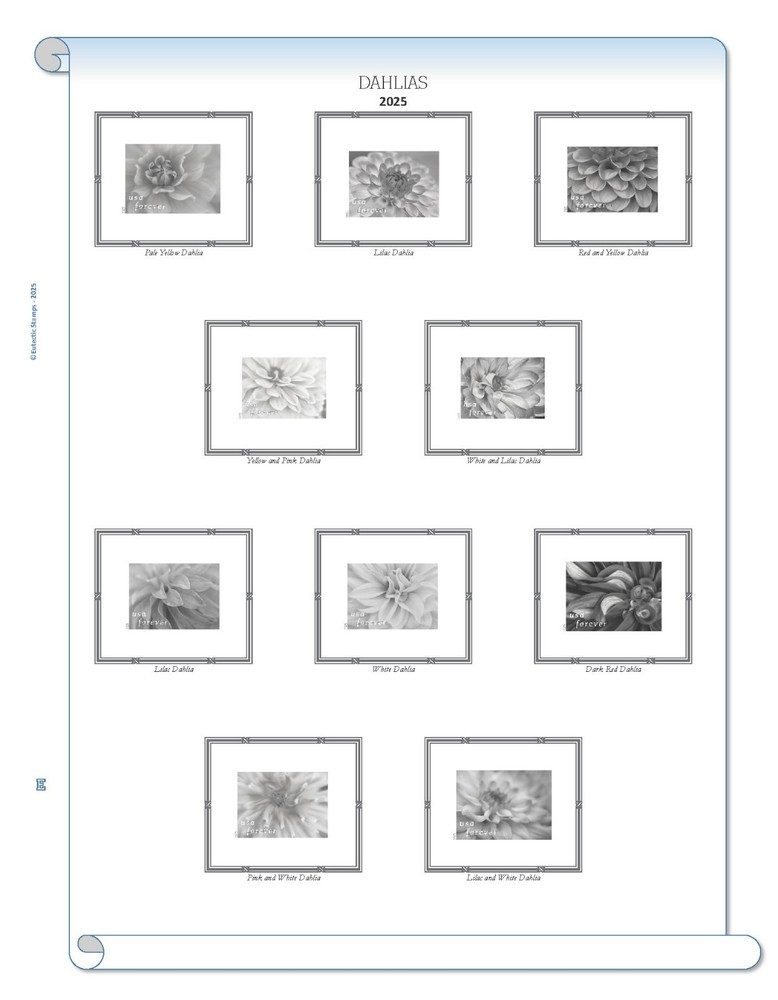 2025 U.S. Regular Issue Singles COMPLETE Supplement (White Ace Alternative)