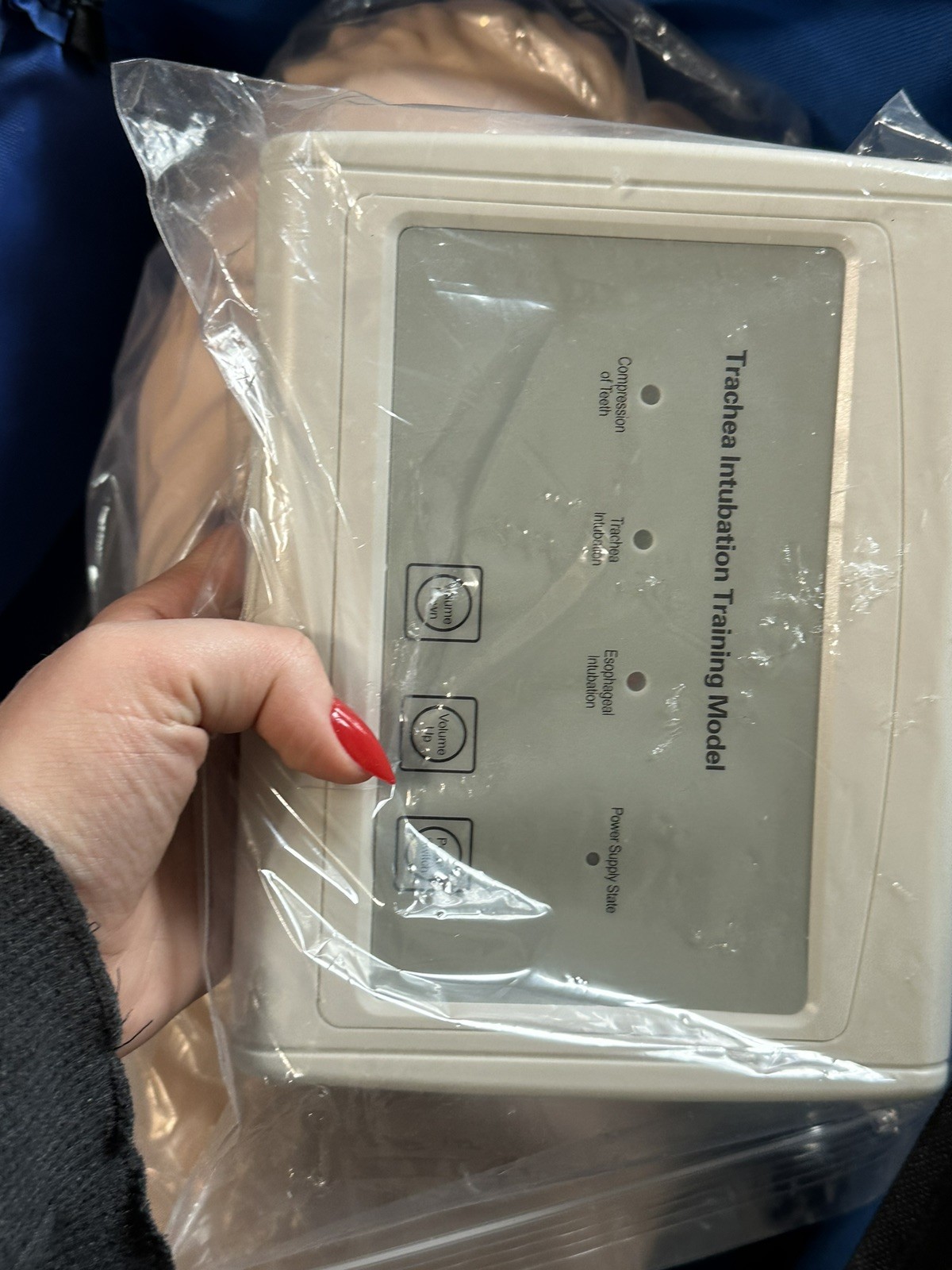 Teaching Model Airway Management Trainer Intubation Manikin Study for Training