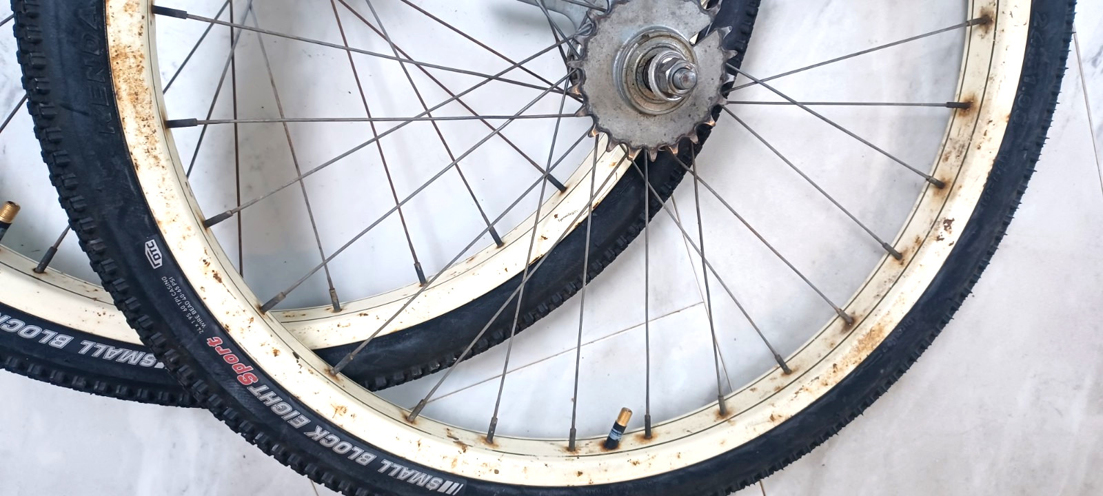 SWEET, 24x2.125" Nice pair Schwinn, S-2 Balloon Enameled Wheels 1950/60s bicycle