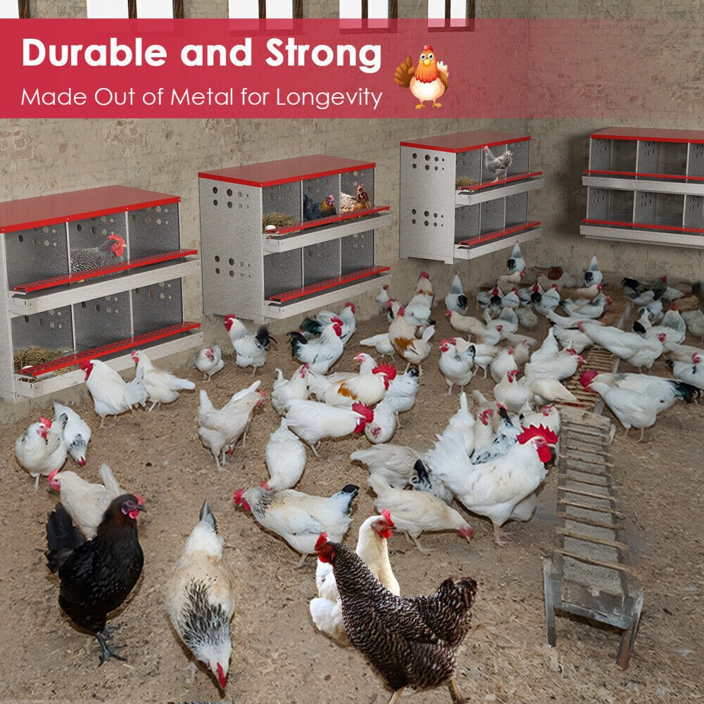 New 6Hole Chicken Nesting Boxes Metal Egg Laying Brooding Box With Vent Hole Set