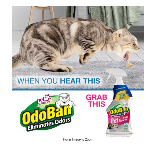 Pet Oxy Stain Remover (2-Pack) 32 Oz.