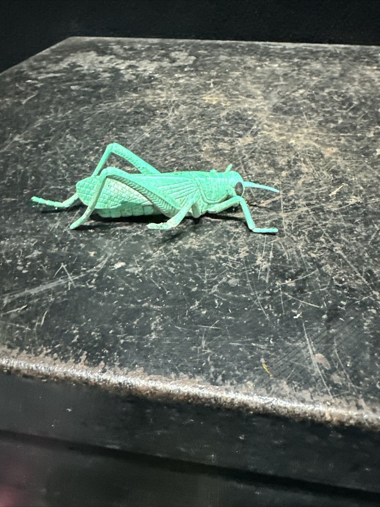 Faux / Pretend grasshopper Ref D9
