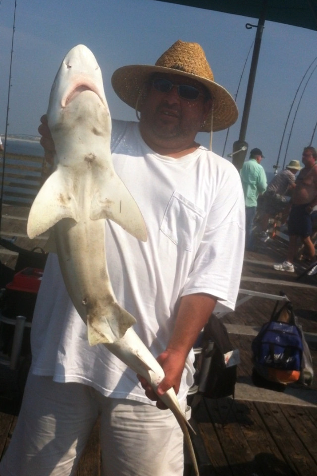 "Super Sand Flea" Hi-Low Fishing Rigs Bullet Floats Pompano Whiting Snappers
