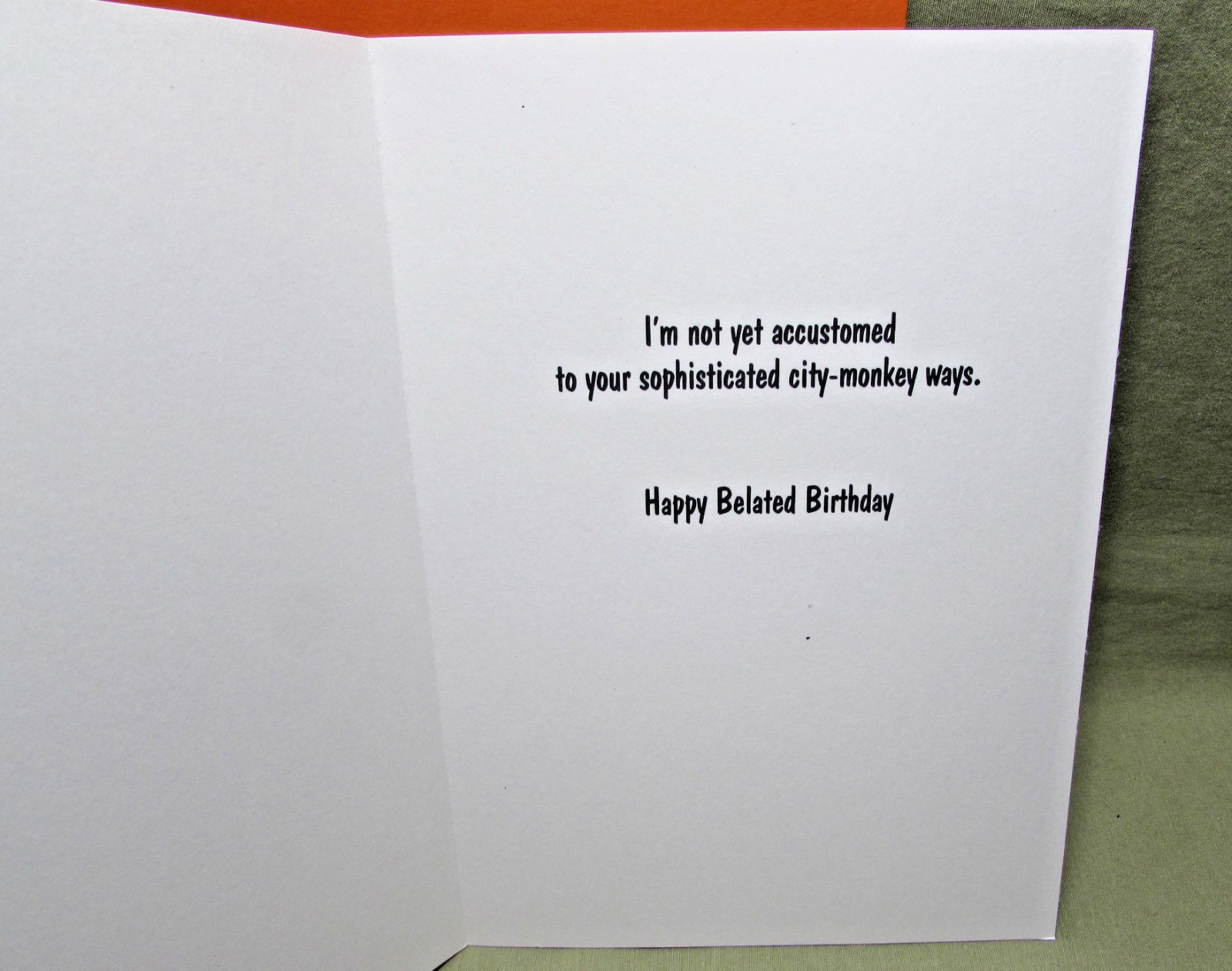 REN & STIMPY SHOW BELATED BIRTHDAY CARD 1993 OZ and Nickelodeon Greeting monkey