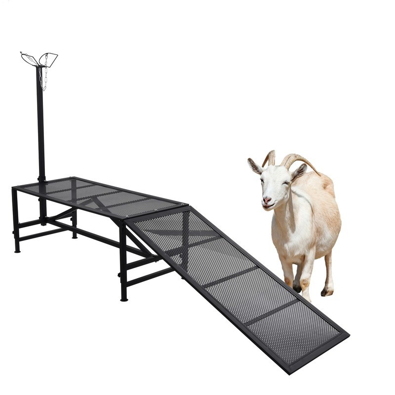 Livestock Stand Goat Milking Trimming Stand W/Ramp Adjust Height Nose Loop