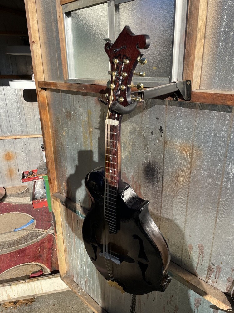 Kysenburg F style mandolin