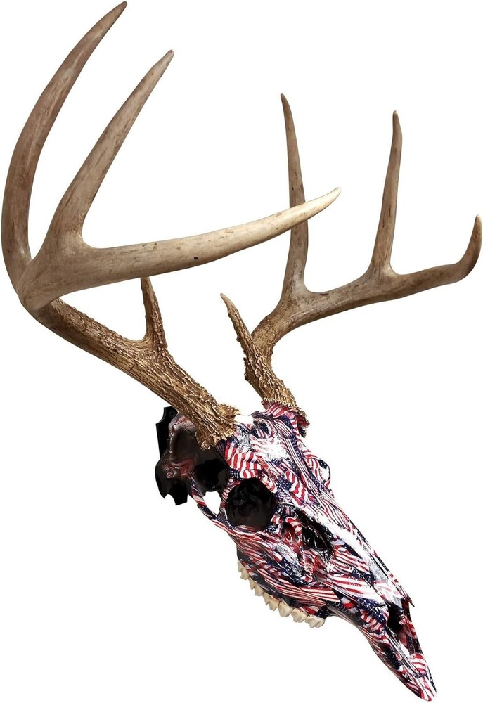 Versatile Skull Mounts for Deer, Bear & More - Cost-Effective Display Solution