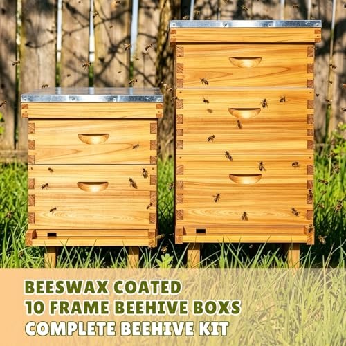 10-Frame Bee Hive Complete Beehive Kit Beeswax Coated Beehive Include Frames