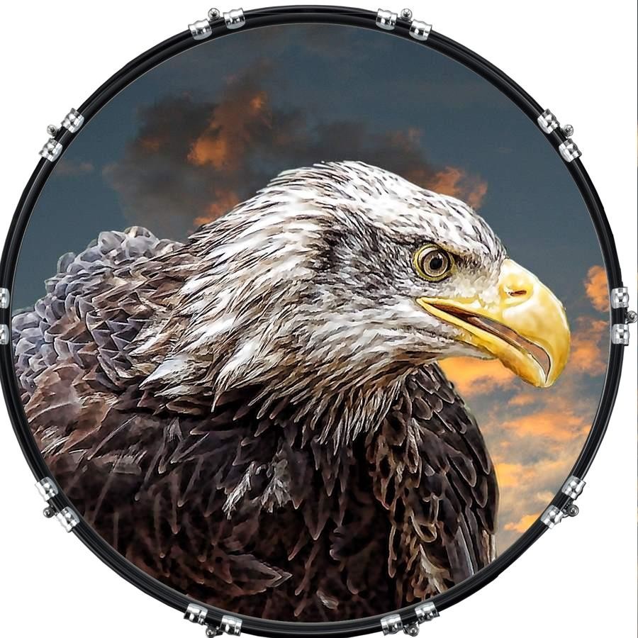 Custom 22" Kick Bass Drum Head Graphical Image Front Skin Eagle 1