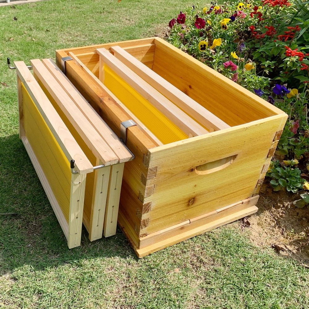 Stainless Steel Frame Holder for Beekeeping - Holds 3 Frames, Space-Saving Tool