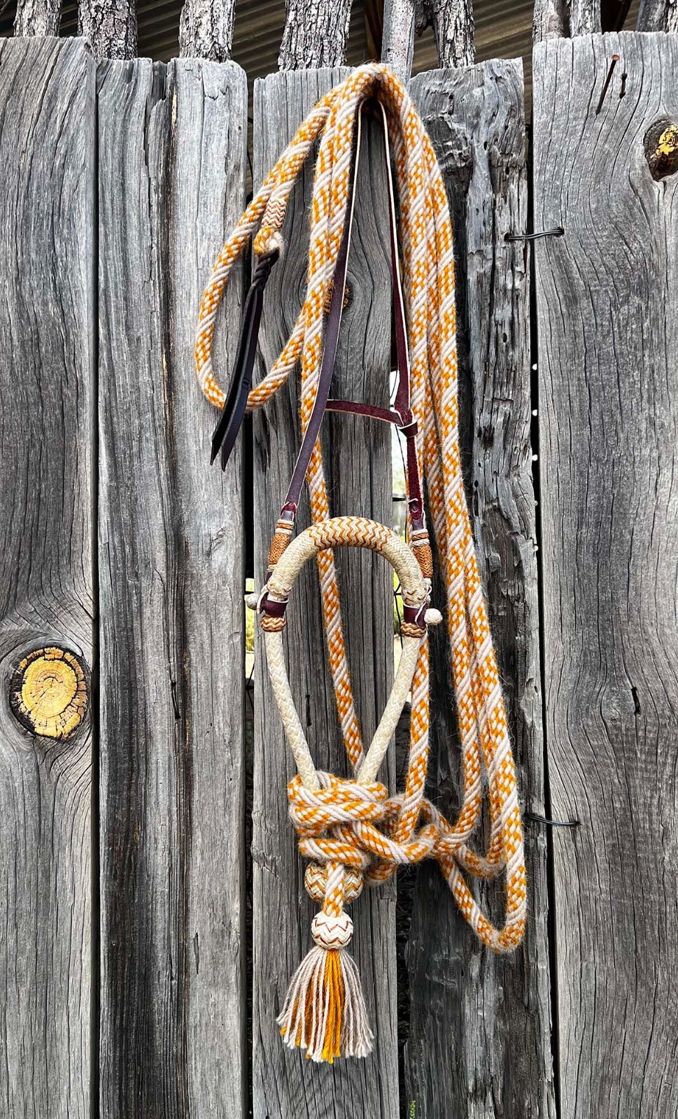 Cowboy Handmade 24 X 48 Plait 5/8" AMBER ALL- RAWHIDE HACKAMORE By Jimmy Flores
