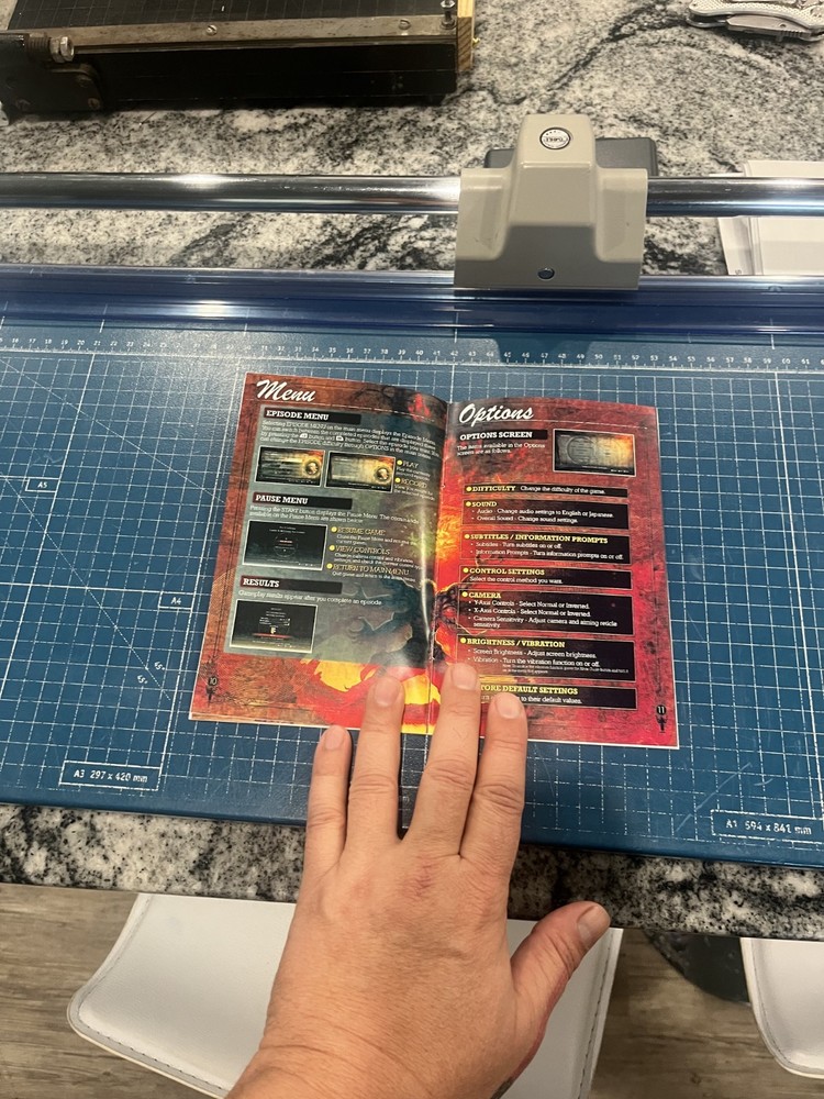 Def Jam Fight for NY PS2 manual