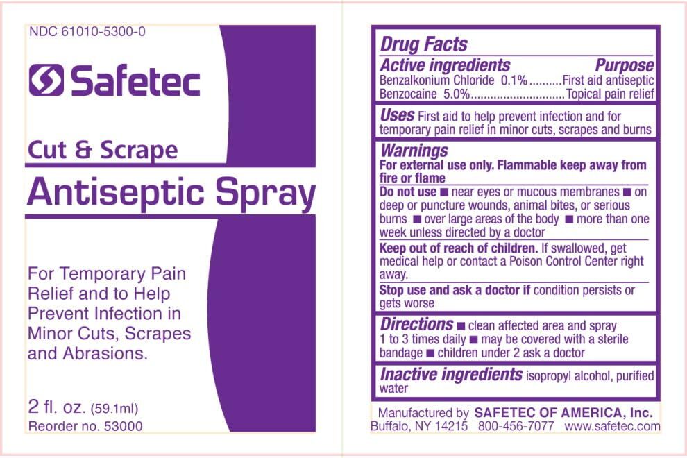 Shield Safety - Antiseptic Spray 2 oz- 3 ctF