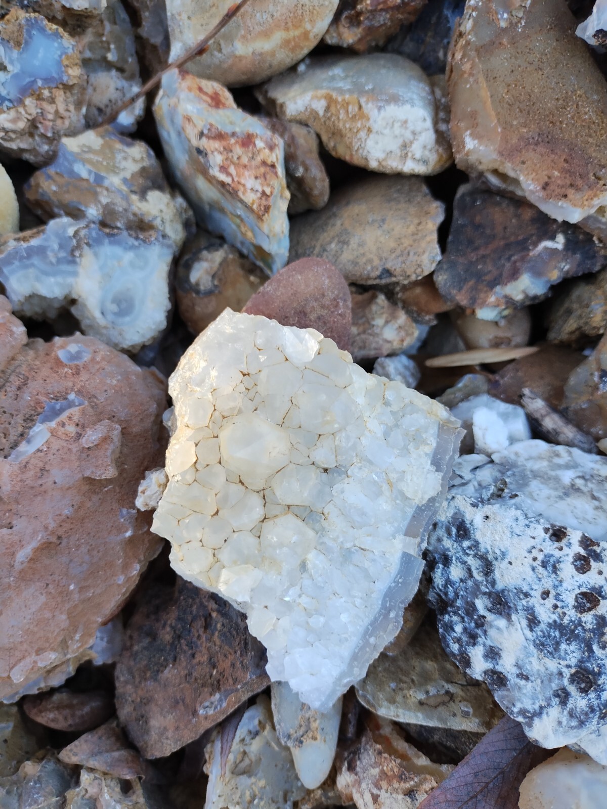 Agate Nodules Nicknamed Potato Agates 10 Pound Lot, Some w/crystals, some solid