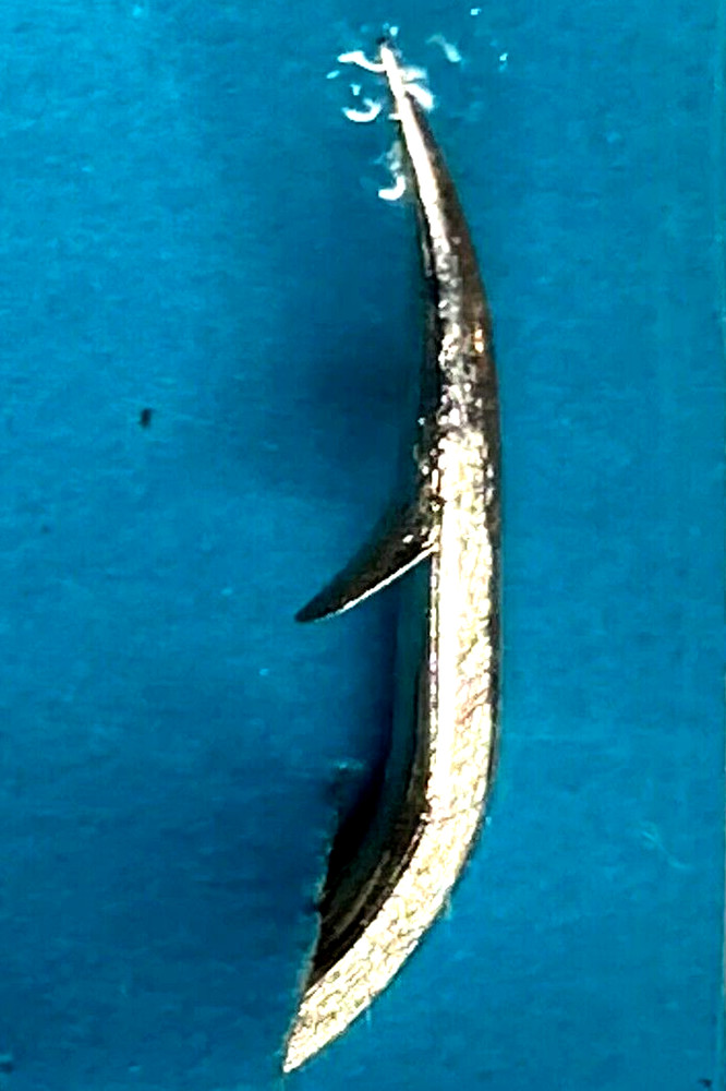 FISHKING 6 PACKS SW-204 Super Cod Rig Size 6/0 Five Hook Rig