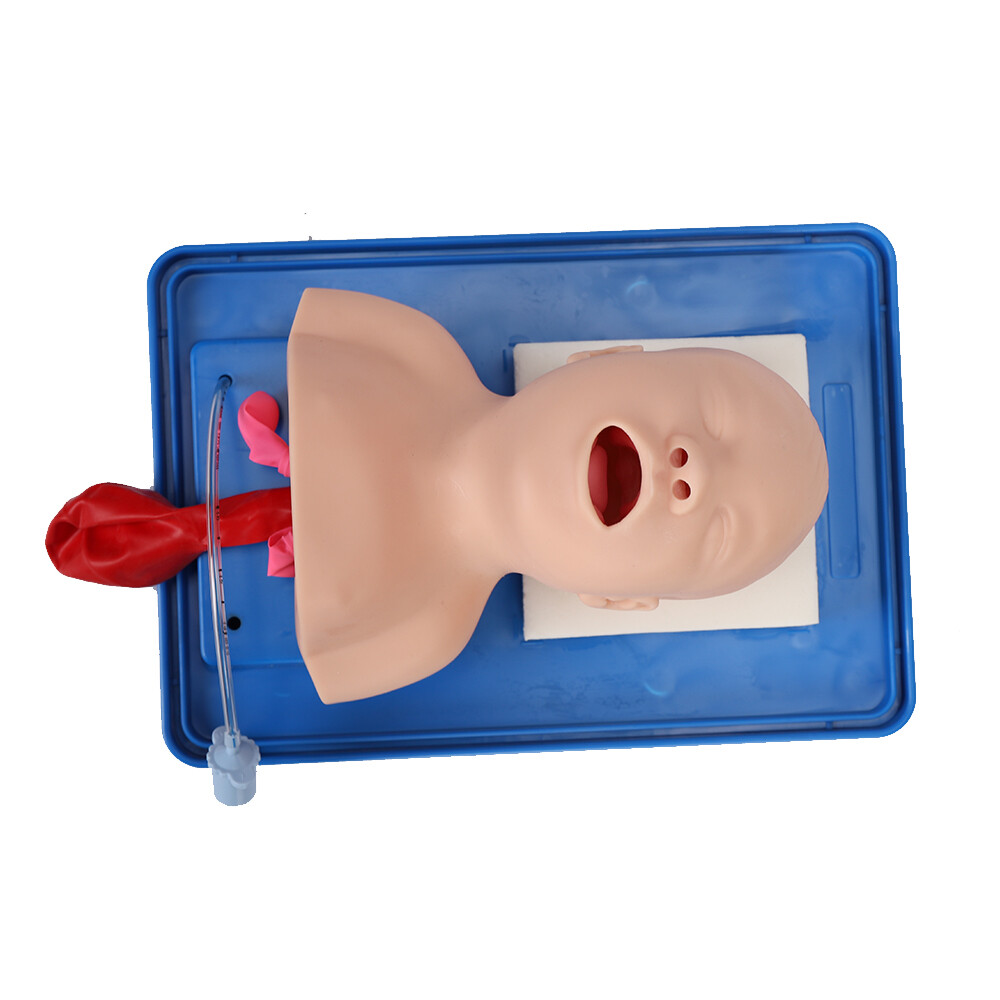 Intubation Manikin Study Baby Infant Teaching Airway Management Trainer Model