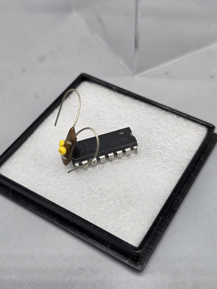 Vintage 1987 The Bugaboo Geniune Defective Computer Bug vintage computing funny