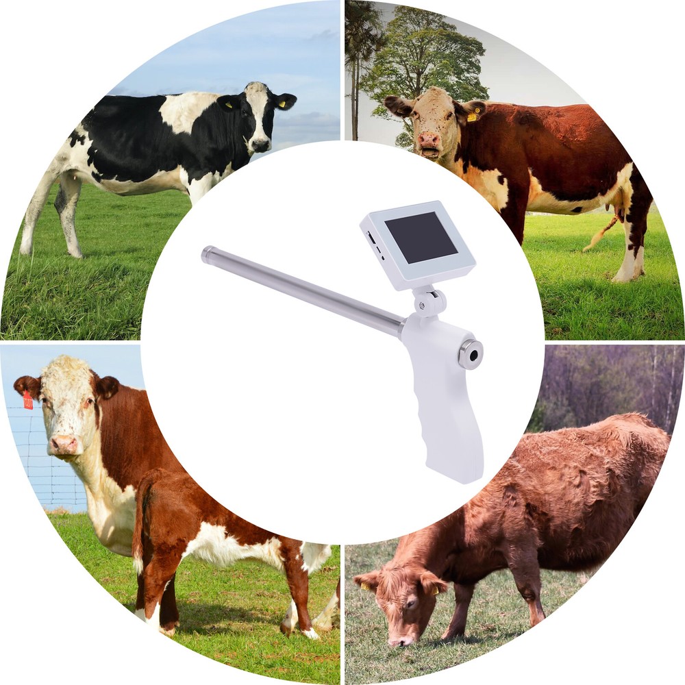 Visual Artificial Insemination Gun Cow Insemination Kit 360° Adjustable Screen