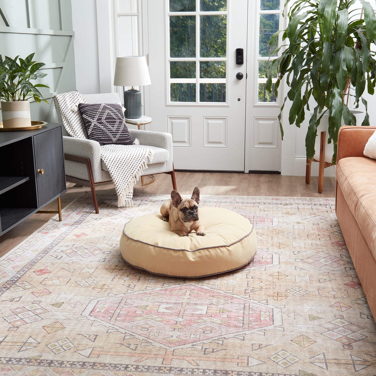 Scout Deluxe Round Microfiber Pillow Dog Bed