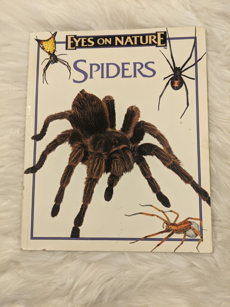 Insect Bug Books With Plastic Bugs