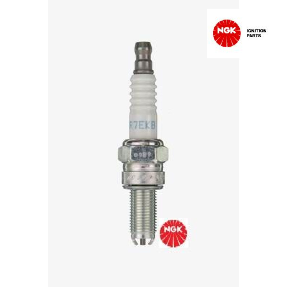 Spark Plug NGK 4455