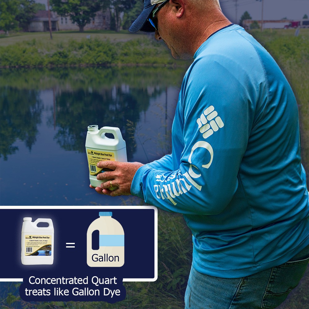Reflective Black Pond Dye Concentrated Quart