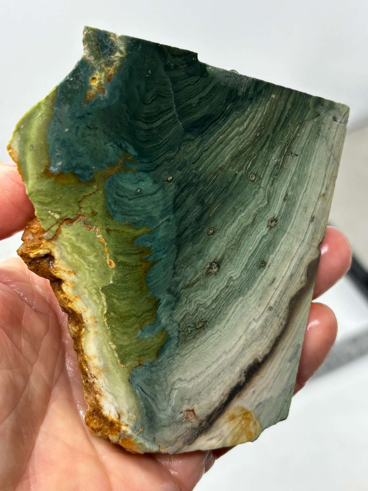 Gary Green Caldera Freedom Jasper Slab Cabbing Lapidary Combo Ship Avail